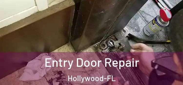  Entry Door Repair Hollywood-FL