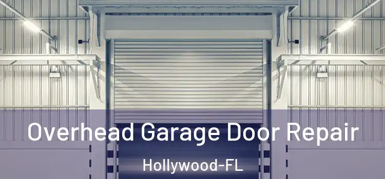 Overhead Garage Door Repair Hollywood-FL