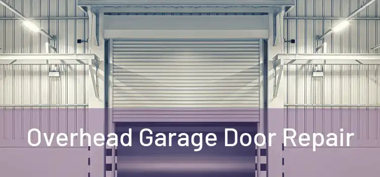 Overhead Garage Door Repair